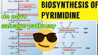 Pyrimidine Biosynthesis De novo amp Salvage pathway 😎😎 [upl. by Annatsirhc769]