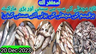 How to buy Fish from Pakistans Fish Market Karachi Fishery  Karachi Fish Harbour Update [upl. by Amahs737]