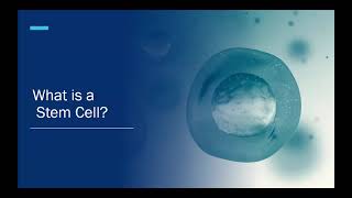 Allogeneic Stem Cell Transplant  Moffitt Cancer Center [upl. by Aiuqal284]