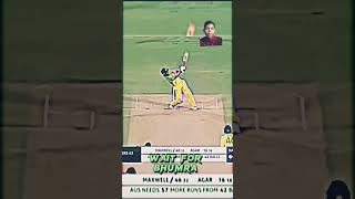 cricket bumrahwicket bumrah [upl. by Keram]