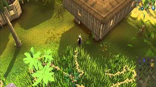 where to find proboscis runescape [upl. by Ytsirt]