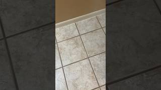 My grout is tan and clean I promise 😂 deepclean groutcleaning cleaning cleantok cleaningvideo [upl. by Aidnama]