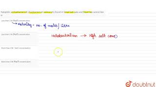 Halophilic archaebacterium Halobacterium salinarum found in Great Salt Lake and [upl. by Atorod]