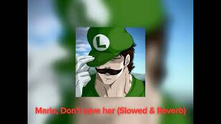 Mario Dont save her Slowed amp Reverb [upl. by Idalia]