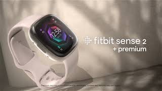 Understand stress with Fitbit Sense 2 [upl. by Ecal]