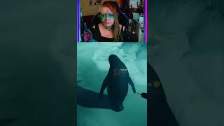 Pingubeat  1uckyc4mp3r auf Twitch zoochosis halloween horror viral [upl. by Vonnie769]