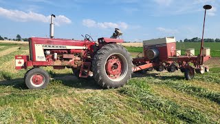 finishing 1st crop hay planting cornand chopping oats and peas 2nd and 3rd week of June [upl. by Anaes473]