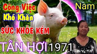 Lá số Tử vi Tuổi Tân Hợi 1971 nam mạng Năm Giáp Thìn 2024 Chú ý Công Việc gặp khó khăn Sức khỏe kém [upl. by Akzseinga]