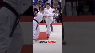 Karate combo karate taekwondo mma [upl. by Samara]