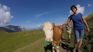 Seiser Alm  Rosszähne  Molignonpass  Dolomiten [upl. by Leyla881]