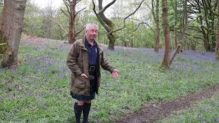 Piping 100 2023 Day 24 Haining Bluebells and The Bluebells Of Scotland [upl. by Donny]