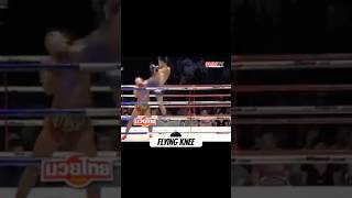 Crazy knockout flying knee shorts muaythai boxing ufc viral [upl. by Curnin]