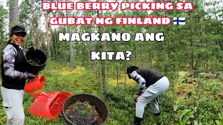 BUHAY SA FINLANDBLUE BERRY PICKINGMAGKANO ANG KITA UNANG ARAW NG BLUE BERRY PICKING SA GUBAT [upl. by Friedrick]