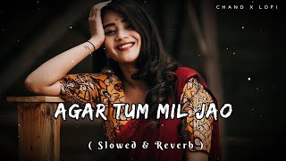 Agar Tum Mil Jao   Slowed amp Reverb  Lofi Songs slowreverb lofisong 90s shreyaghoshal [upl. by Venu]