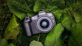 7 Best Budget Mirrorless Cameras In 2024 [upl. by Dorena]