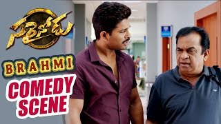 Home Theatre Comedy scene  Sarrainodu  Allu Arjun Rakul Preet Catherine Tresa [upl. by Mathias]