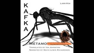 Franz Kafka The Metamorphosis Free Audiobook [upl. by Hendrik]