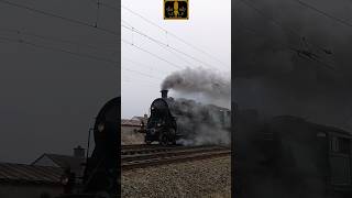 Edler Renner S36 3673 rollt vorbeiaelpdampflokmuseumsbahnbayernhistorisch [upl. by O'Dell]