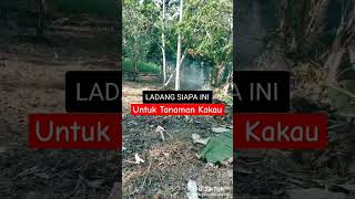 Petani Kakau mari kita kumpul [upl. by Mcevoy]