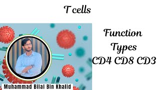 T cells  functions  types immunology microbiology mdcat 2024 biology [upl. by Fulvia]