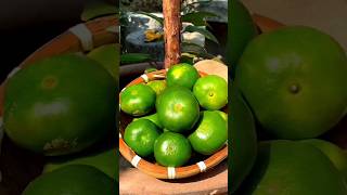 Guess the Fruit amazingfacts guessthefruit factsinhindi guessthefruitname [upl. by Lewis142]