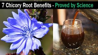 Chicory Root Benefits  How To Make Chicory Coffee [upl. by Ivets]