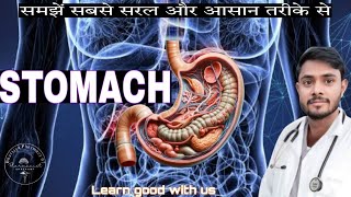 Stomach  Anatomy of GI system  RRB  ANM  UP CHO  BIHAR CHO [upl. by Gut]