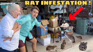 RAT INFESTATION AT MY GRANDMAS HOUSE  WHAT NOW [upl. by Jandel]