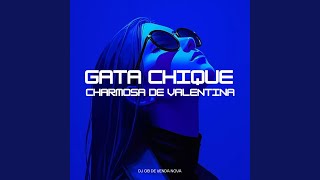 Gata Chique Charmosa de Valentina [upl. by Colston]