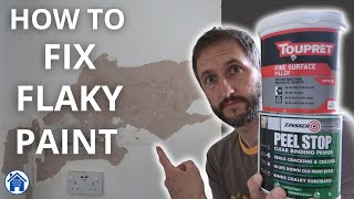 How to FIX FLAKY PAINT Peeling paint DIY repair How to use fine surface filler Flaking paint fix [upl. by Namlaz884]