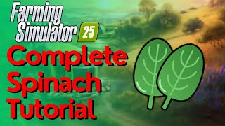 Spinach Complete Guide  How To Grow Harvest amp Sell Spinach In Farming Simulator 25 [upl. by Saddler774]