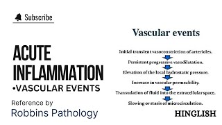 Acute Inflammation 12  Vascular Events of Acute Inflammation  in Hindi  Pathology [upl. by Francesco]