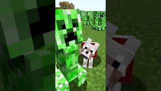 A Superdog Vs Creepers😱😱minecraft shorts superdogs [upl. by Ahsitaf]