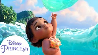 Pequena Moana conhece o oceano  Disney Princesa [upl. by Eillehs]