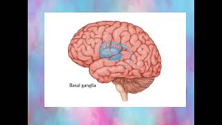 Dopamine Secretion Points YNSA [upl. by Moser]