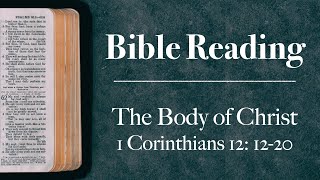 Sermon 19th May 2024 The Body of Christ 1 Corinthians 12 1220 [upl. by Richmond]