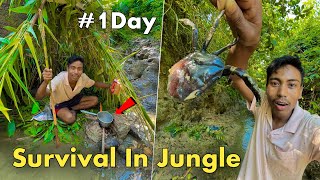 1 Day Survival in ⛺️Jungle  Jungle Camping and Cooking [upl. by Fernando976]