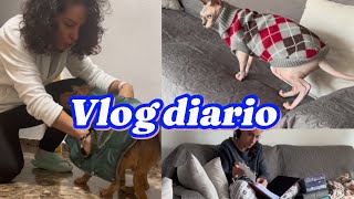 Vlog diario les compro abrigos para el frío  os enseño fotos de mi pasado 😊 [upl. by Capriola]