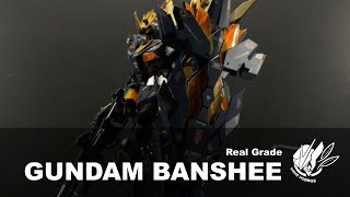 Custom painted Rg Banshee [upl. by Nnaael306]