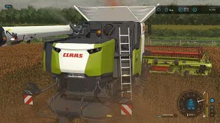 Harvesting Just Sorghum  Ballam Rd Dairy Farm  Mini Lets play no 22 [upl. by Eimarej]