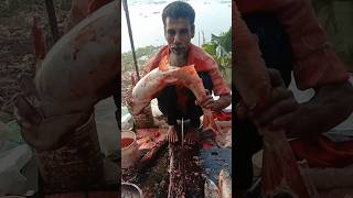 Amazing Pangas fish cutting skills 282 🐬😱 shorts [upl. by Haroppizt639]