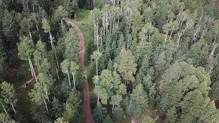 Abineau Bear Jaw Trail  Flagstaff AZ [upl. by Scheers]