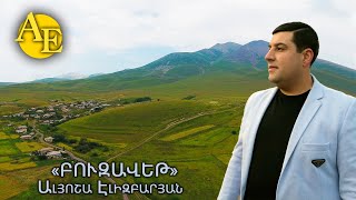 Alyosha Elizbaryan  Buzavet  Ալյոշա Էլիզբարյան  Բուզավեթ [upl. by Giefer]