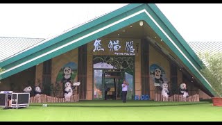 Chinas Northernmost Panda House Opens in Heilongjiang [upl. by Elamef]