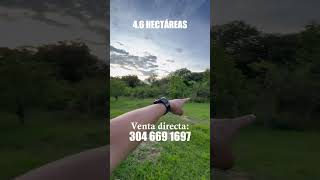 🔥SE VENDE🍃ESTÁ BONITA FINCA🍃Número del dueño 57 304 669 1697🔥 [upl. by Yunick529]