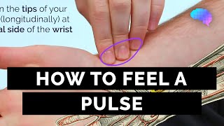 How to Feel a Pulse  Radial amp Brachial Pulses  OSCE Guide  UKMLA  CPSA [upl. by Meeker]