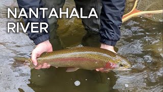 Catching My Personal Best Trout on the Nantahala River  Fly Fishing Western North Carolina [upl. by Aker]