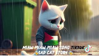 Sad ai cat story  Miaw miaw miaw Song sad cat story cat catvideos catlovers [upl. by Eirehs]