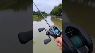 Great fishing reel fishing shots shimano shortvideo subscribe shortsfeed [upl. by Narruc]