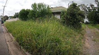 NEGLECTED HOUSE now LOOKS INCREDIBLE  Yard clean up [upl. by Cahn]